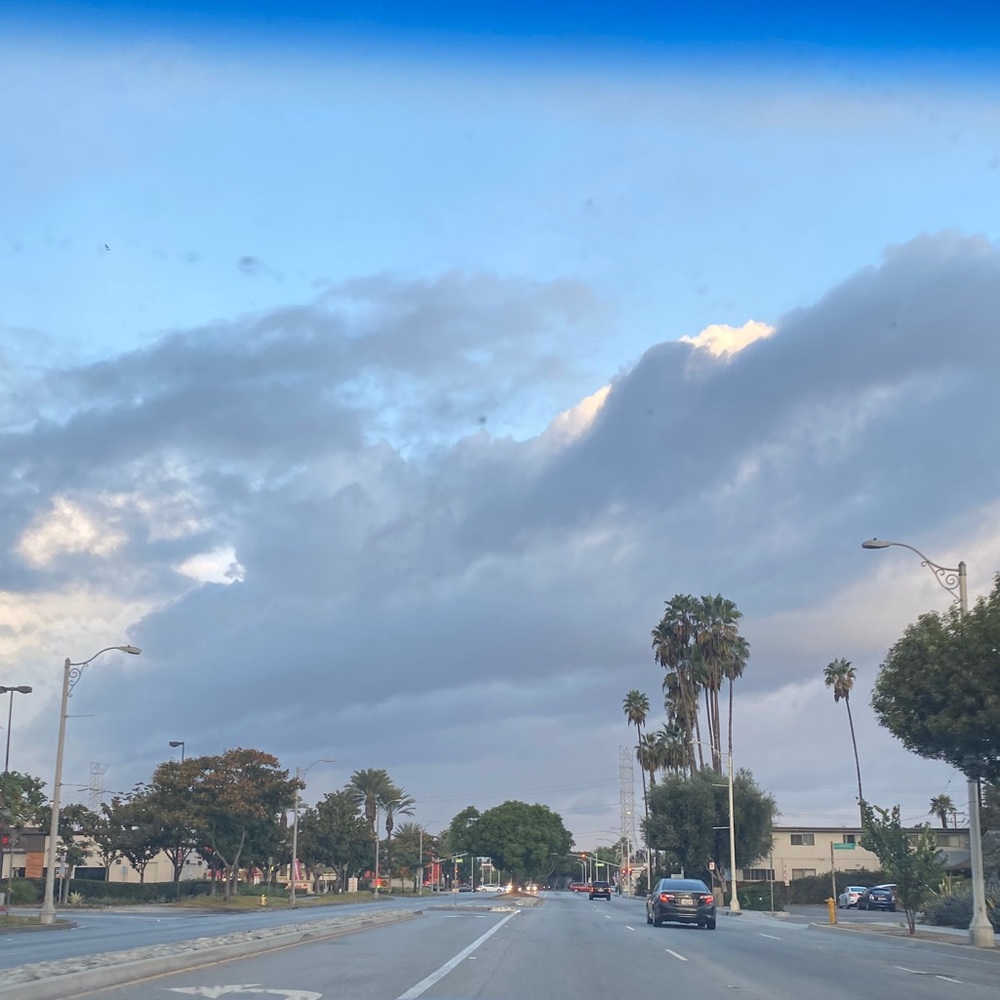 Meet your Posher, Jacqueline